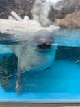 越前松島水族館に投稿された画像（2025/5/27）