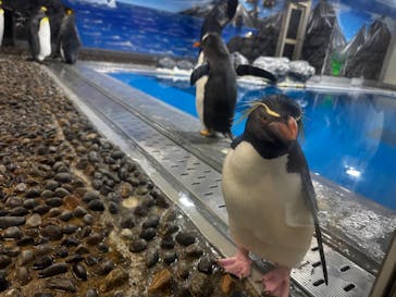 越前松島水族館に投稿された画像（2025/5/26）