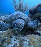  マリンショップHAPPYに投稿された画像（2025/5/27）