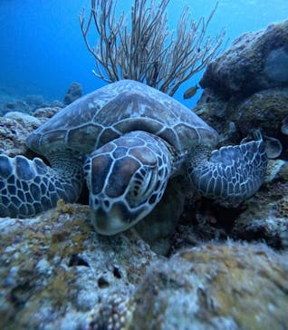  マリンショップHAPPYに投稿された画像（2025/5/26）