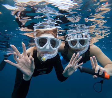  マリンショップHAPPYに投稿された画像（2025/5/26）