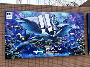 アクアワールド茨城県大洗水族館に投稿された画像（2025/5/27）