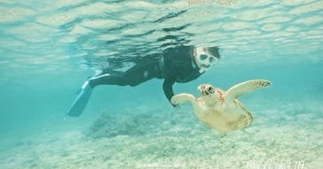 Dive Center OKKYに投稿された画像（2025/5/27）