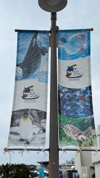 鴨川シーワールドに投稿された画像（2025/5/27）