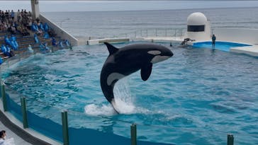 鴨川シーワールドに投稿された画像（2025/5/27）