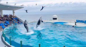 鴨川シーワールドに投稿された画像（2025/5/27）