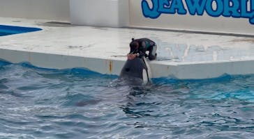 鴨川シーワールドに投稿された画像（2025/5/27）