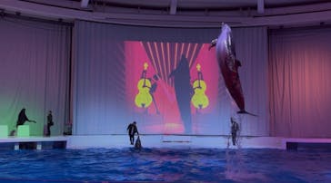 アクアワールド茨城県大洗水族館に投稿された画像（2025/5/27）