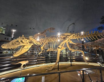 福井県立恐竜博物館に投稿された画像（2025/5/27）