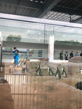京都水族館に投稿された画像（2025/5/27）