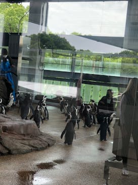 京都水族館に投稿された画像（2025/5/27）