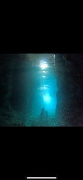 武藤潜水に投稿された画像（2025/5/27）