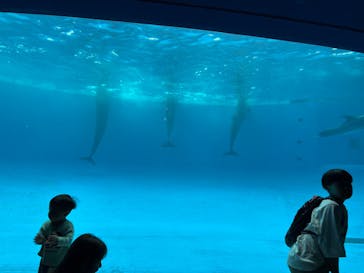 アクアワールド茨城県大洗水族館に投稿された画像（2025/5/27）