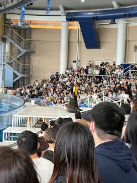 アクアワールド茨城県大洗水族館に投稿された画像（2025/5/27）