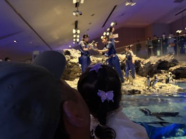 すみだ水族館に投稿された画像（2025/5/27）