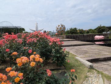 万博記念公園に投稿された画像（2025/5/27）