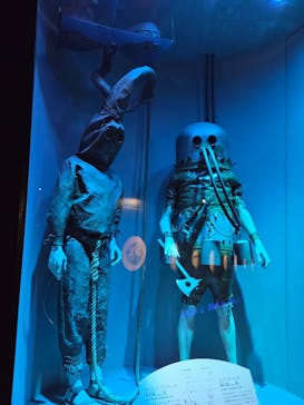 名古屋港水族館に投稿された画像（2025/5/27）