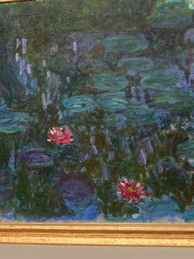 モネ　睡蓮のときに投稿された画像（2025/5/27）