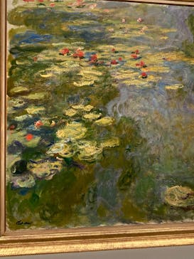 モネ　睡蓮のときに投稿された画像（2025/5/27）