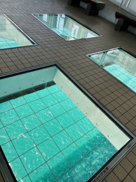 徳島県立 渦の道に投稿された画像（2025/5/27）