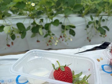 ＠FARMに投稿された画像（2025/5/27）