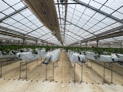 ＠FARMに投稿された画像（2025/5/27）