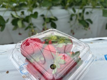 ＠FARMに投稿された画像（2025/5/27）