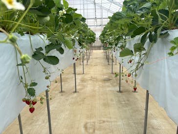 ＠FARMに投稿された画像（2025/5/27）