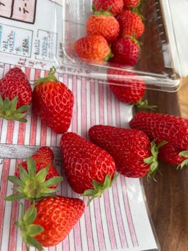 石川農園に投稿された画像（2025/5/27）