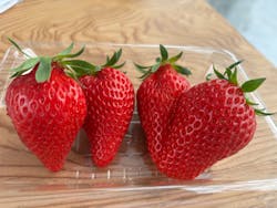 石川農園に投稿された画像（2025/5/27）