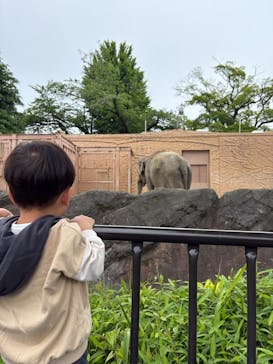 日立市かみね動物園に投稿された画像（2025/5/27）