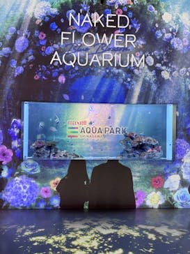 マクセル アクアパーク品川に投稿された画像（2025/5/27）