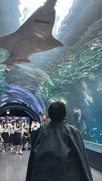 マクセル アクアパーク品川に投稿された画像（2025/5/27）