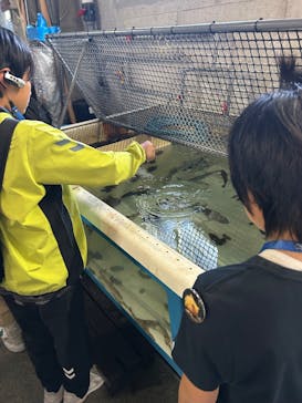 アクアマリンふくしまに投稿された画像（2025/5/27）