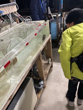 アクアマリンふくしまに投稿された画像（2025/5/27）