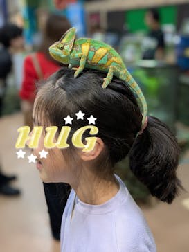 いきもの探検隊上尾に投稿された画像（2025/5/27）