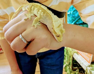 いきもの探検隊上尾に投稿された画像（2025/5/27）