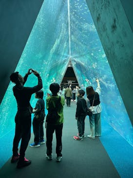 環境水族館アクアマリンふくしまに投稿された画像（2025/5/27）