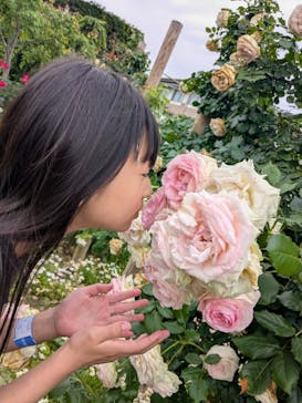 ひらかたパークに投稿された画像（2025/5/27）