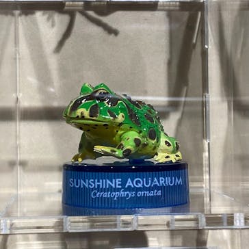 海洋堂ホビーランドに投稿された画像（2025/5/27）