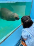 竹島水族館に投稿された画像（2025/5/27）