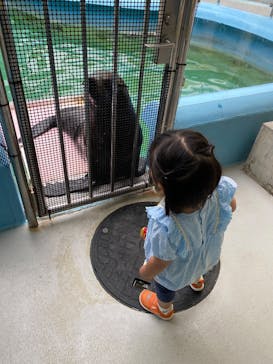 竹島水族館に投稿された画像（2025/5/27）
