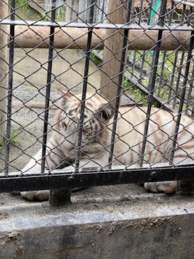 東武動物公園に投稿された画像（2025/5/27）
