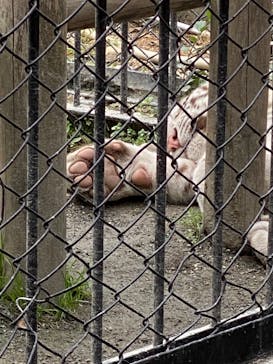 東武動物公園に投稿された画像（2025/5/27）