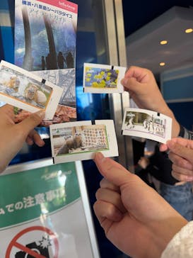 横浜・八景島シーパラダイス　プレジャーランドに投稿された画像（2025/5/27）