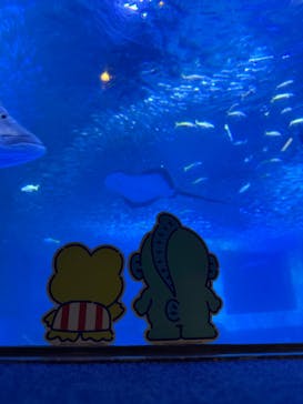 横浜・八景島シーパラダイス　プレジャーランドに投稿された画像（2025/5/27）