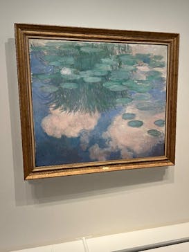 モネ　睡蓮のときに投稿された画像（2025/5/27）