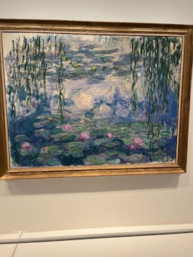 モネ　睡蓮のときに投稿された画像（2025/5/27）