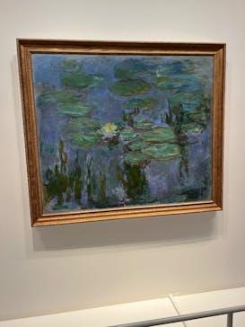 モネ　睡蓮のときに投稿された画像（2025/5/27）