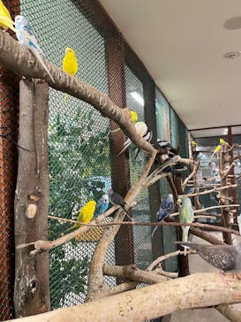 アニタッチ 東京ドームシティに投稿された画像（2025/5/27）